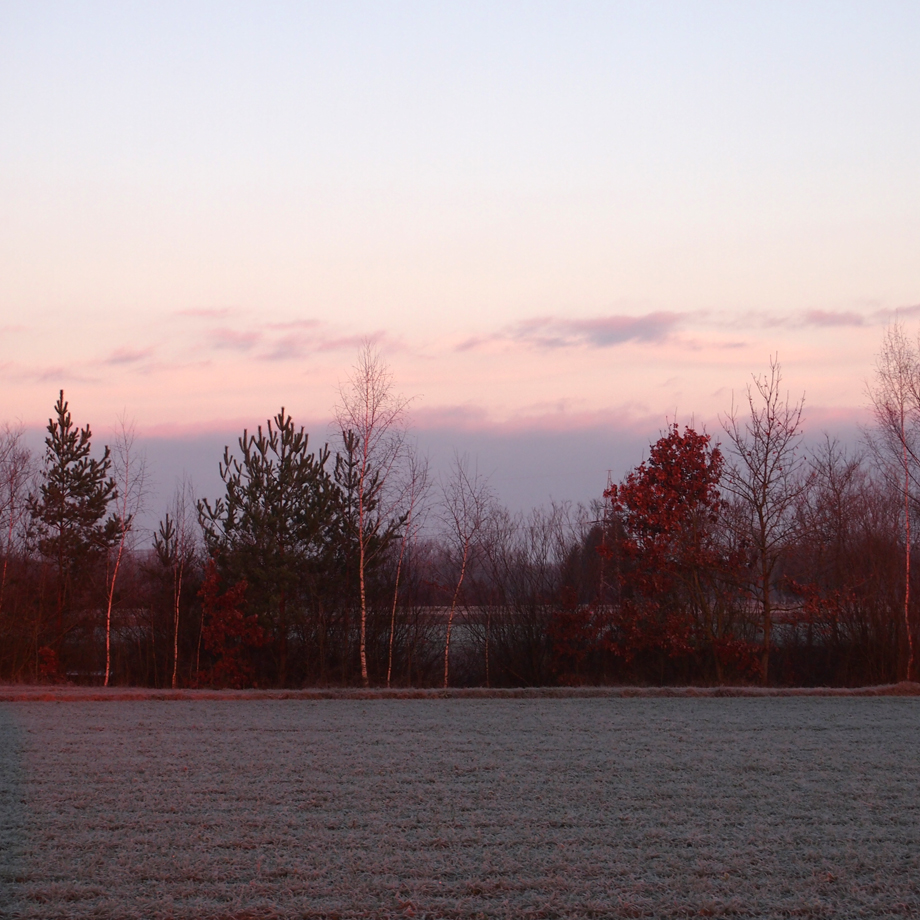 Ein Spaziergang über tauige Wiesen zum Sonnenaufgang am Weihnachstmorgen 2014. krambeutel Die Manufaktur für Deine Wunschtasche München Stefanie Ramb